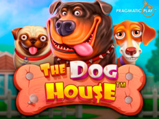 The dog house online casino88